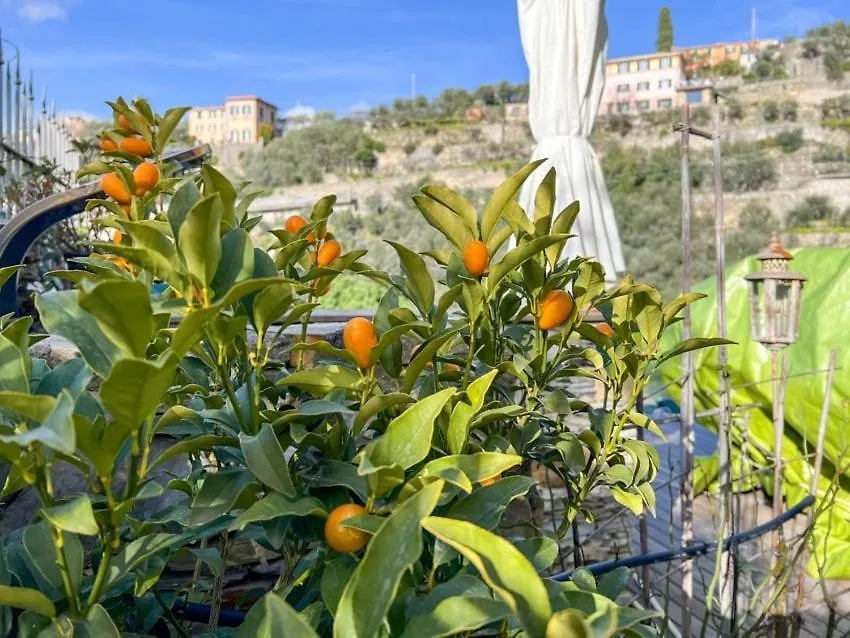 Villa Rosa Camogli