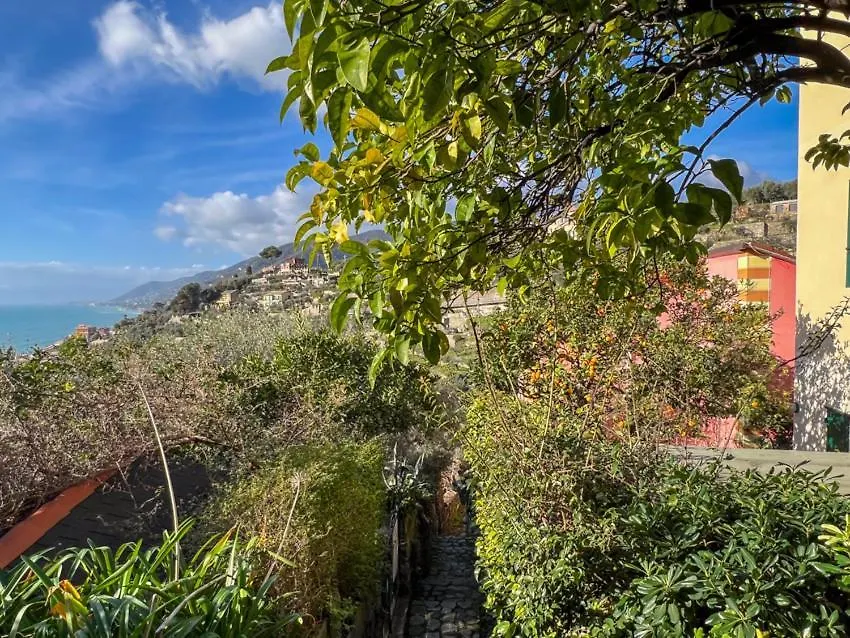 Villa Rosa Camogli