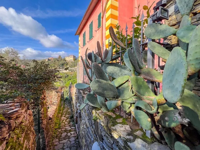 Villa Rosa Camogli