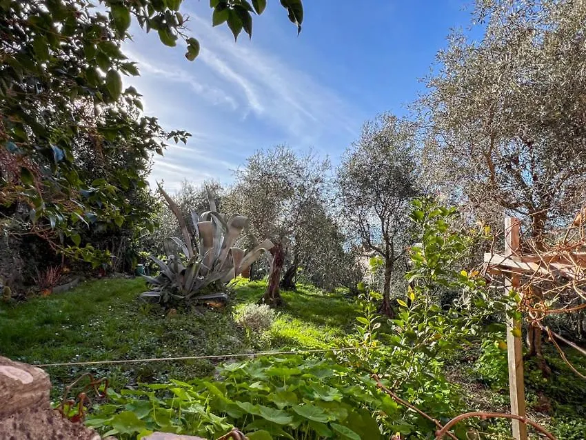 Villa Rosa Camogli