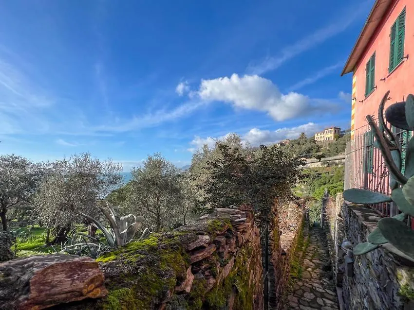 Villa Rosa Camogli 0*,